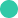 A solid turquoise circle on a white background.